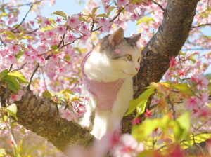 景気の悪いニュース疲れ